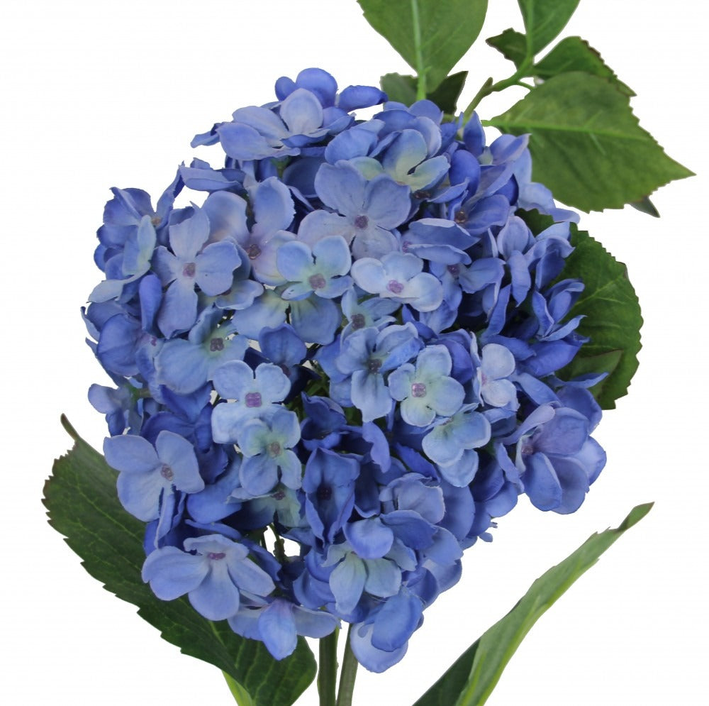 Large Hydrangea Light Blue