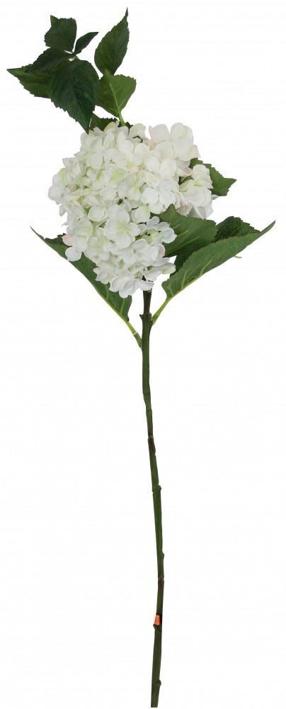 Large Hydrangea White