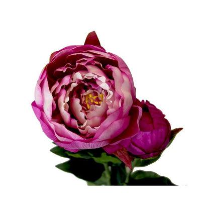 Peony Fuchsia (78cm)