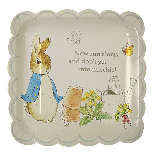 Peter Rabbit Party Peter Rabbit Plates - 23cm Party Plates