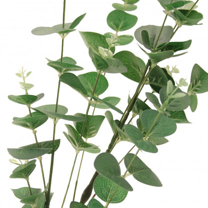 Eucalyptus Green 91cm