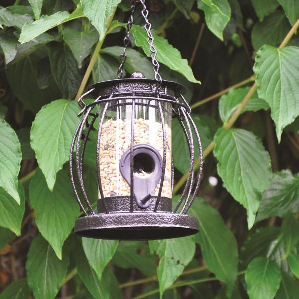 Kingfisher Mini Caged Seed Feeder