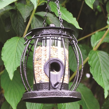 Kingfisher Mini Caged Seed Feeder