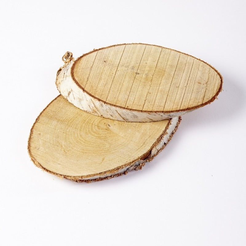 Birch Log Slice (M)