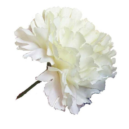 Ivory Carnations (12 Stems)