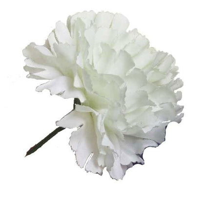 White Single Carnations (12 Stems)