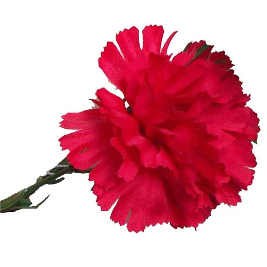 Red Single Carnations (12 Stems)