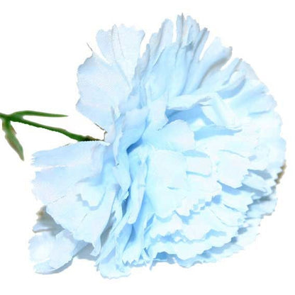 Baby Blue Single Carnations (12 Stems)