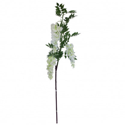 White Wisteria Branch