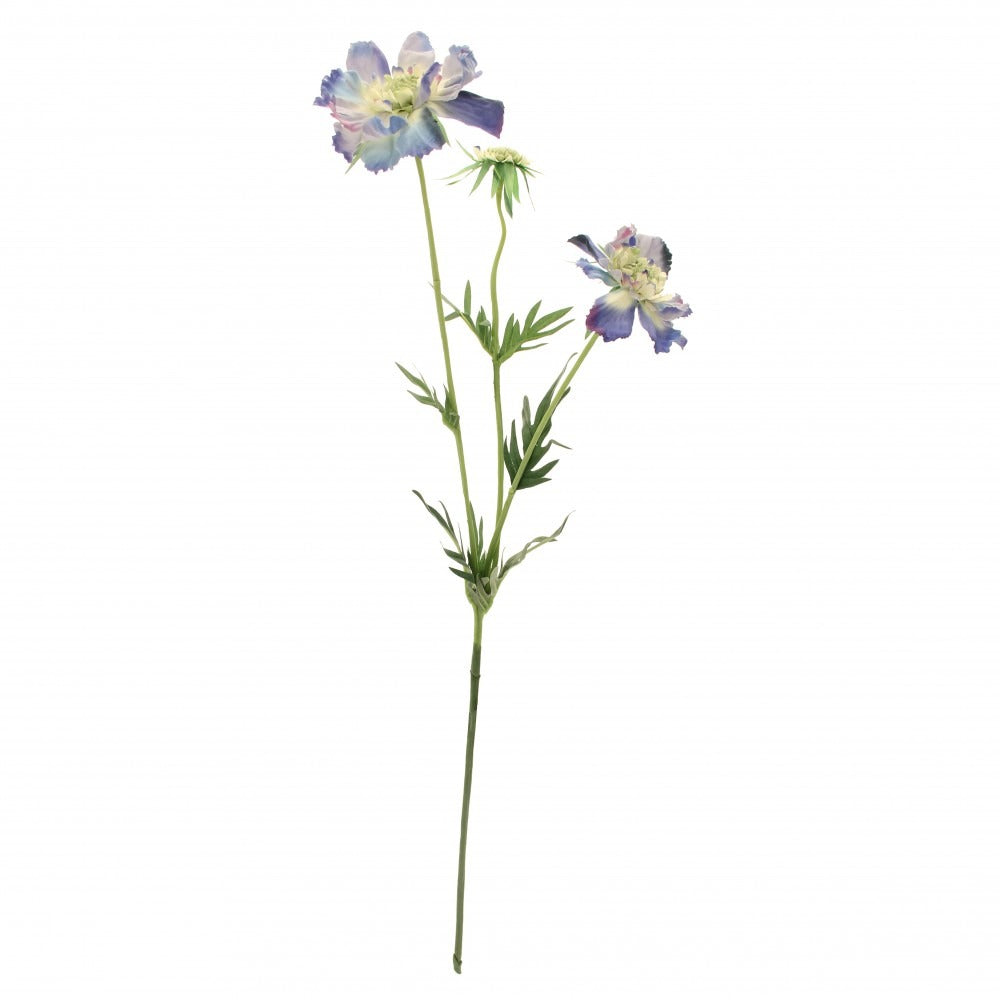 Light Blue Scabiosa Spray 75cm