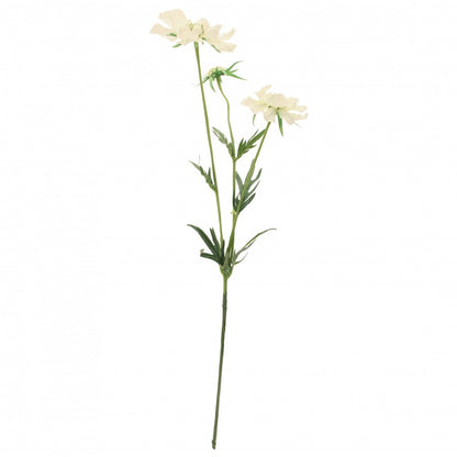 White Scabiosa Spray 75cm