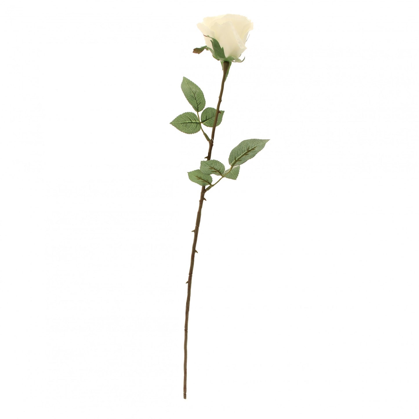 Kaia Rose Stem in White