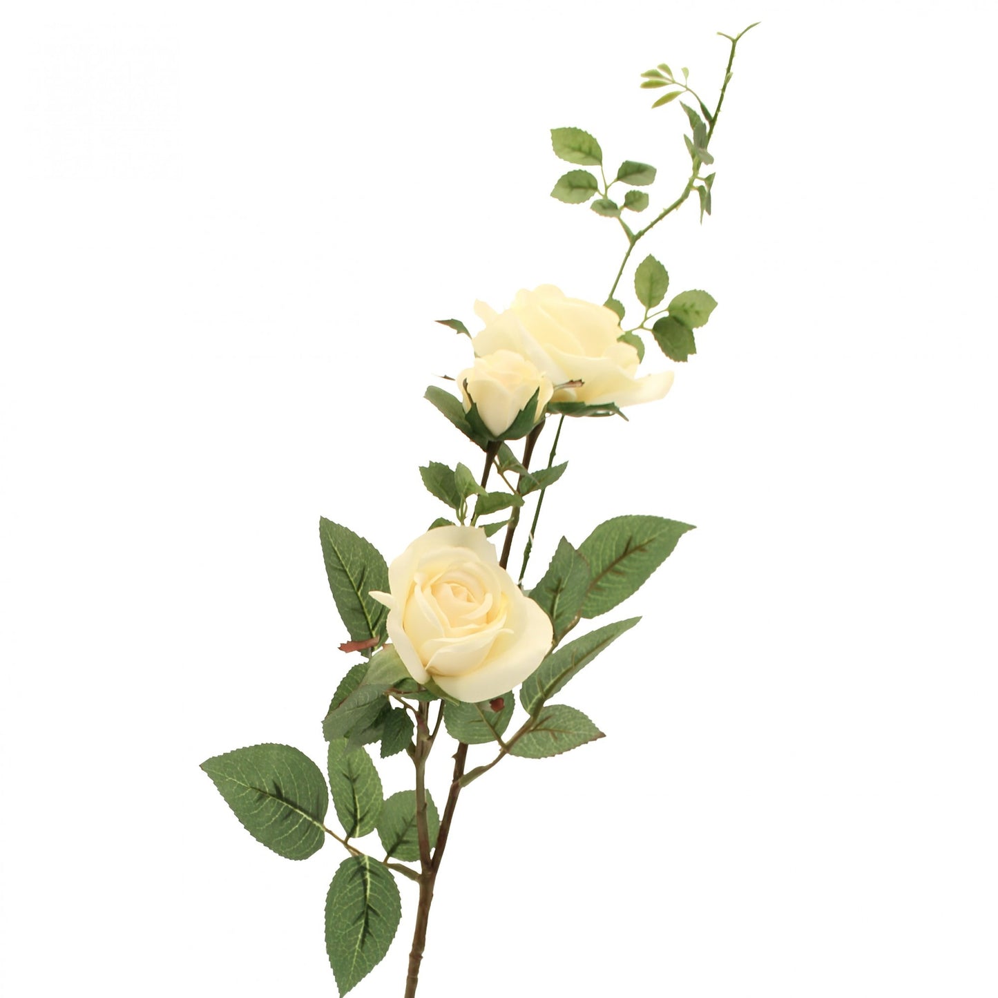 Cream Rose Spray (79cm)