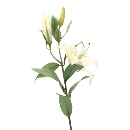 Cream Lily Spray