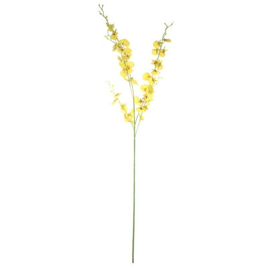 Dancing Orchid Yellow