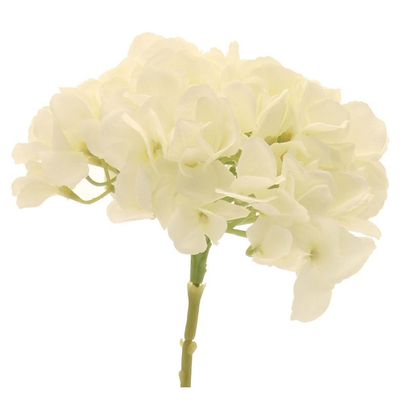 Short Stem Single Hydrangea Cream