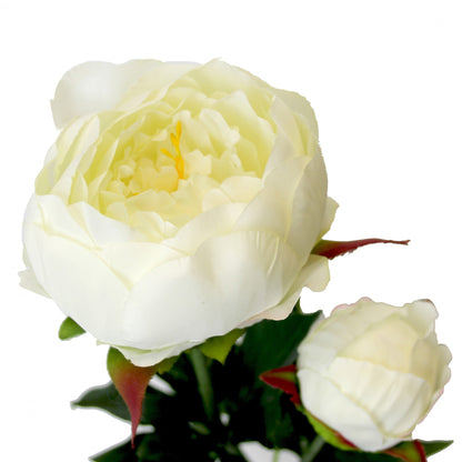 Peony White (78cm)