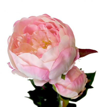 Peony Pink (78cm)