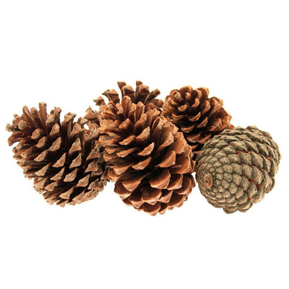 Scented Pine Cones Pack