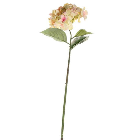 68cm Single Large Hydrangea Cream Blush