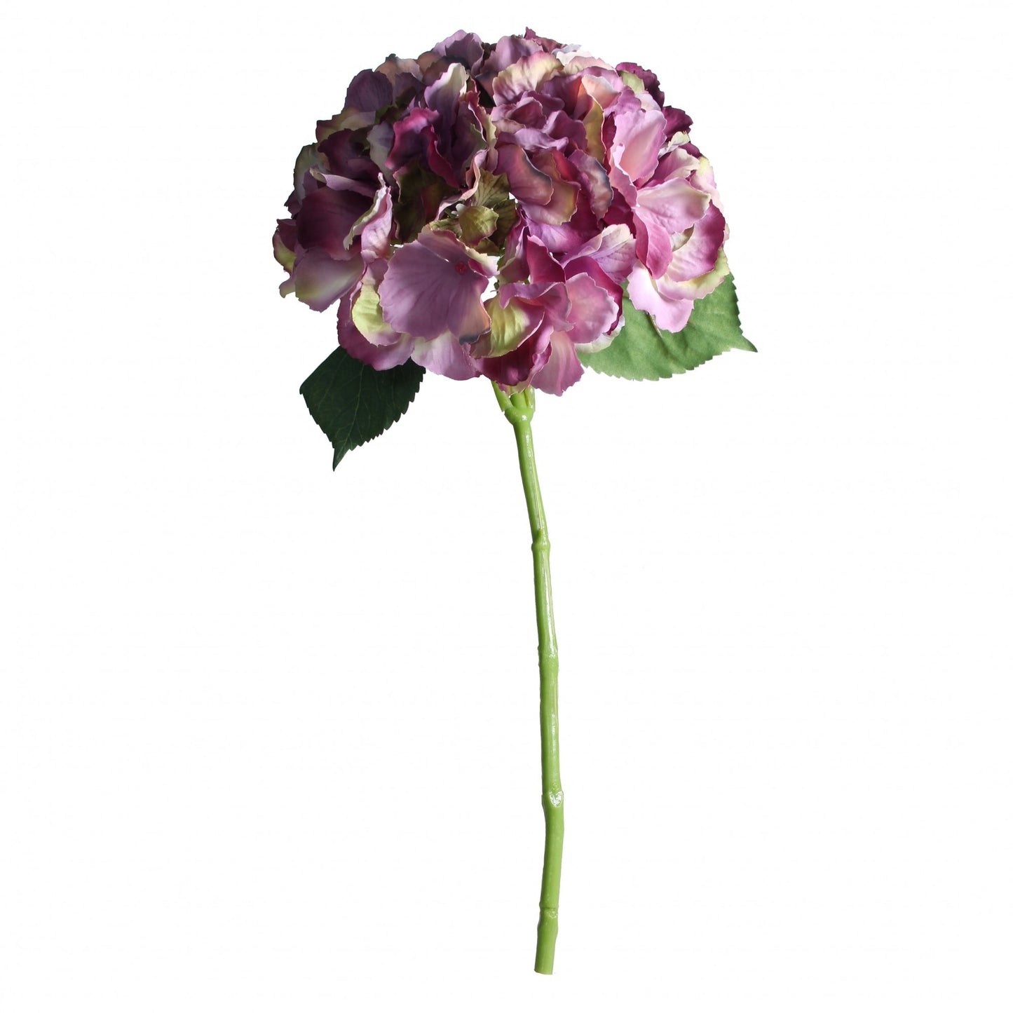 Antique Purple Short Stem Hydrangea