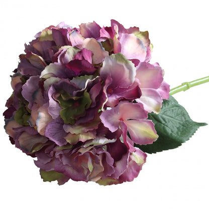 Antique Purple Short Stem Hydrangea