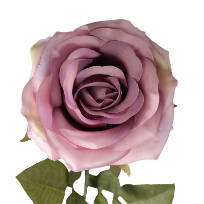 Vintage Rose Lilac