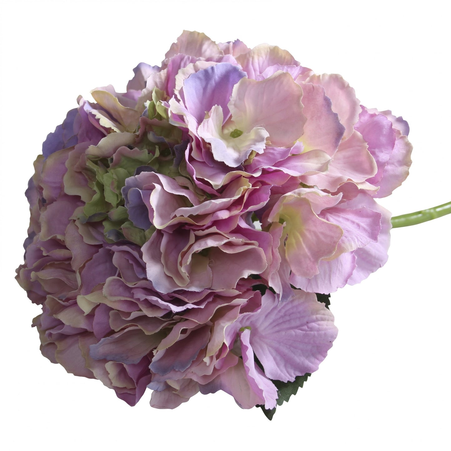 Short Stem Hydrangea Pink