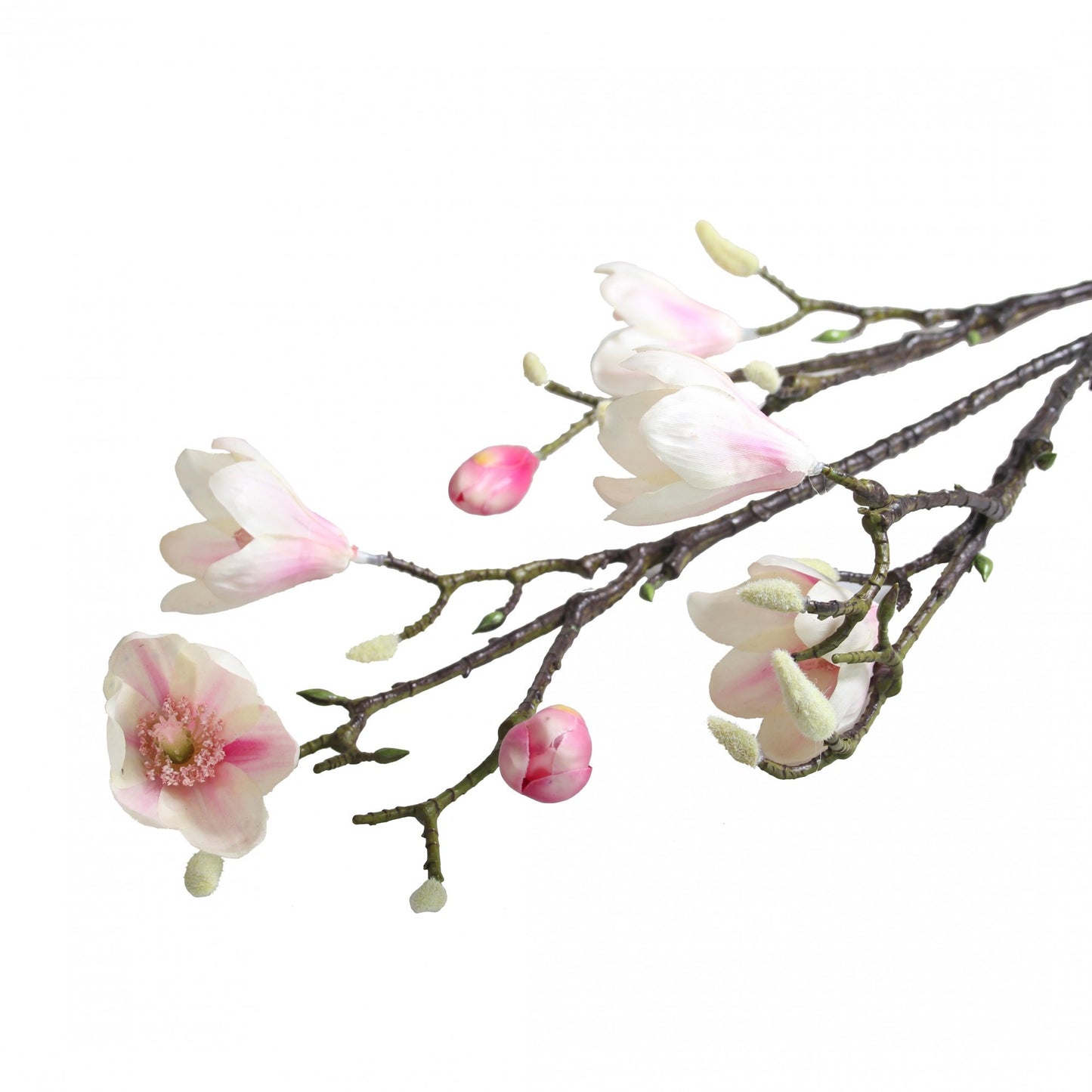 Magnolia Branch Blush Pink