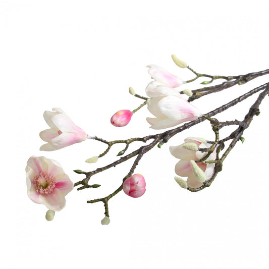 Magnolia Branch Blush Pink