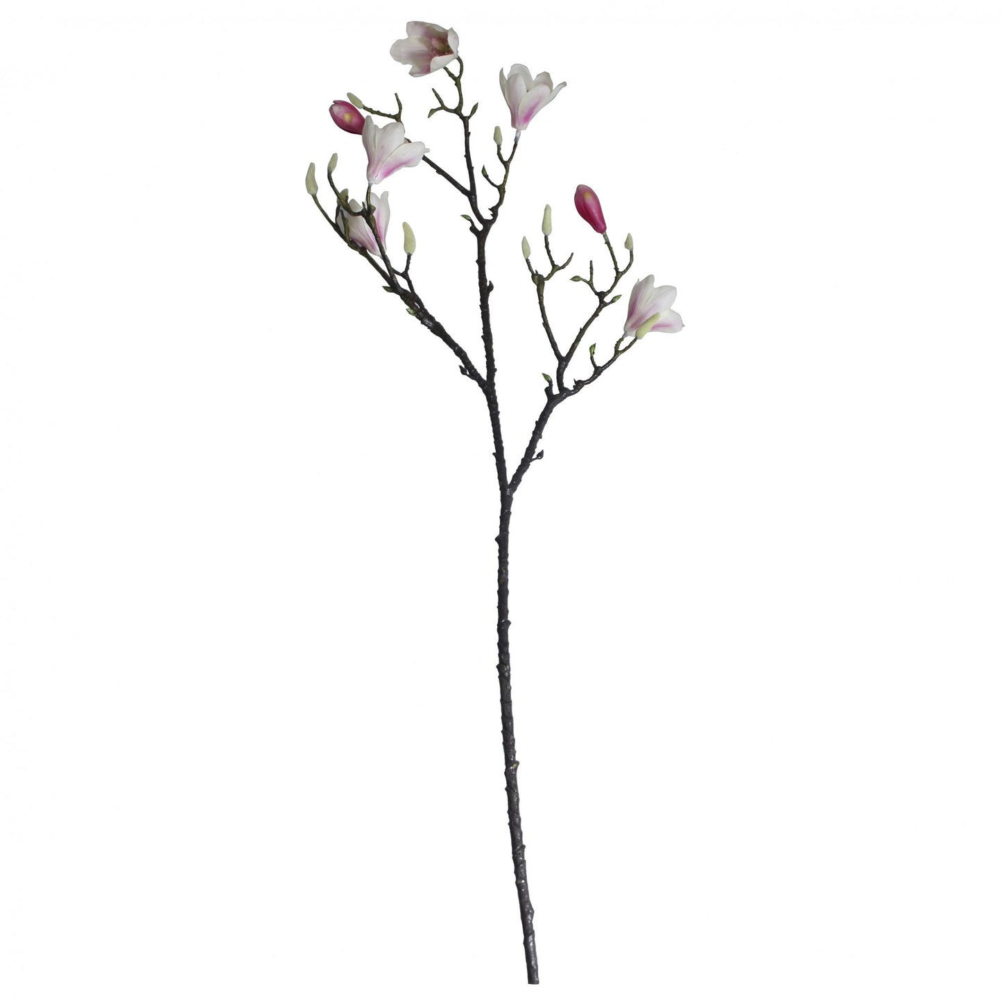 Magnolia Branch Blush Pink