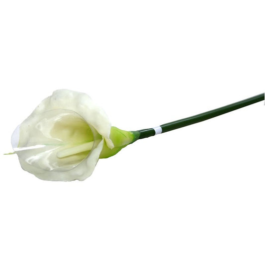 Medium Calla Lily Cream   Green