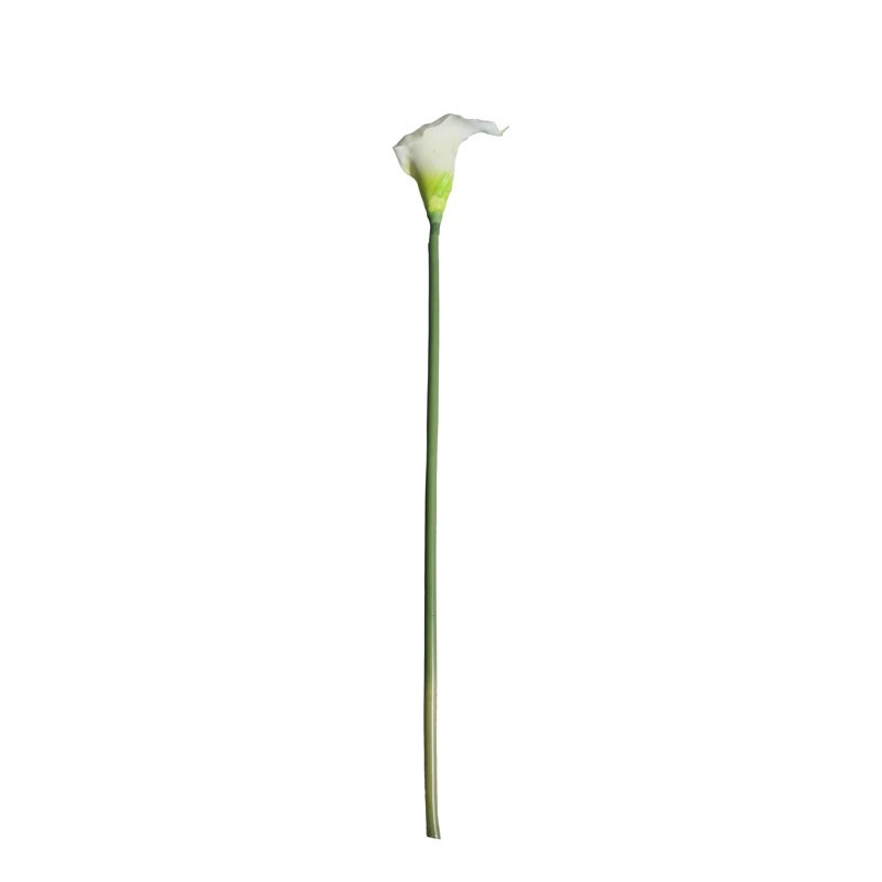 Medium Calla Lily Cream   Green