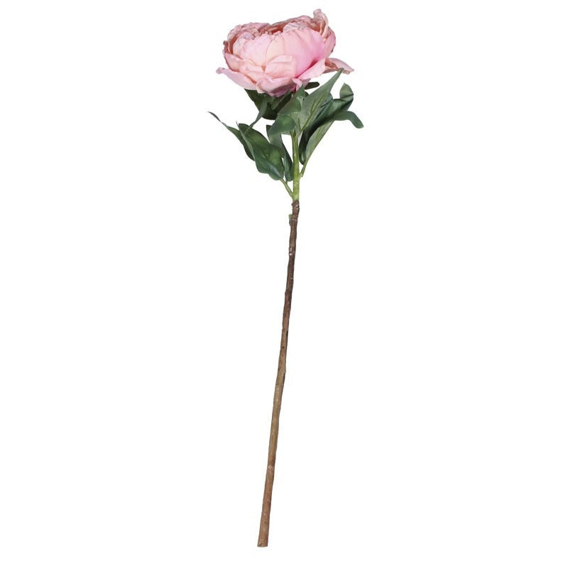 71cm Single Peony Peach