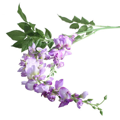 Garden Wisteria Lilac