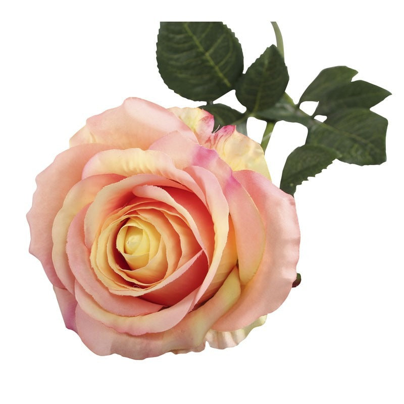 Small Camelot Open Rose Peach