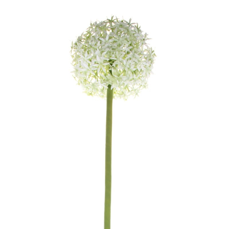 76cm Single Allium Cream   White