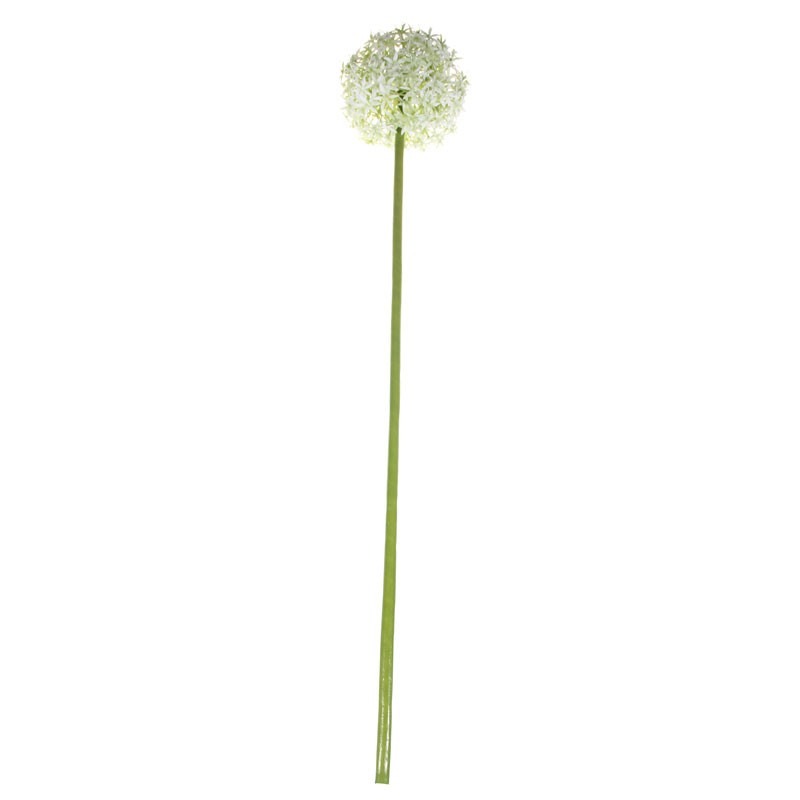 76cm Single Allium Cream   White