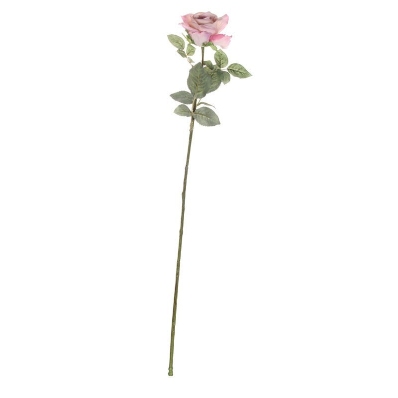 72cm Single Olivia Rose Antique Pink