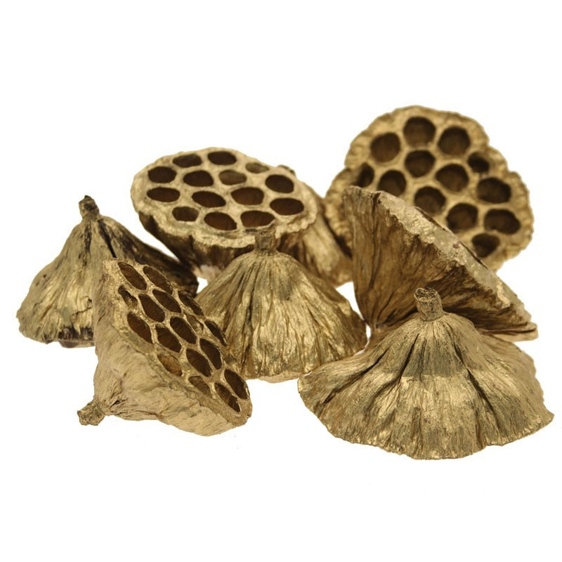 Gold Large Lotus Heads (x50) (8-12cm)