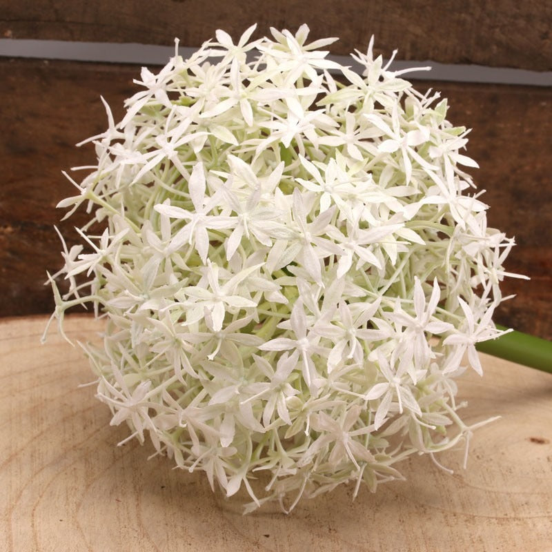 76cm Single Allium Cream   White