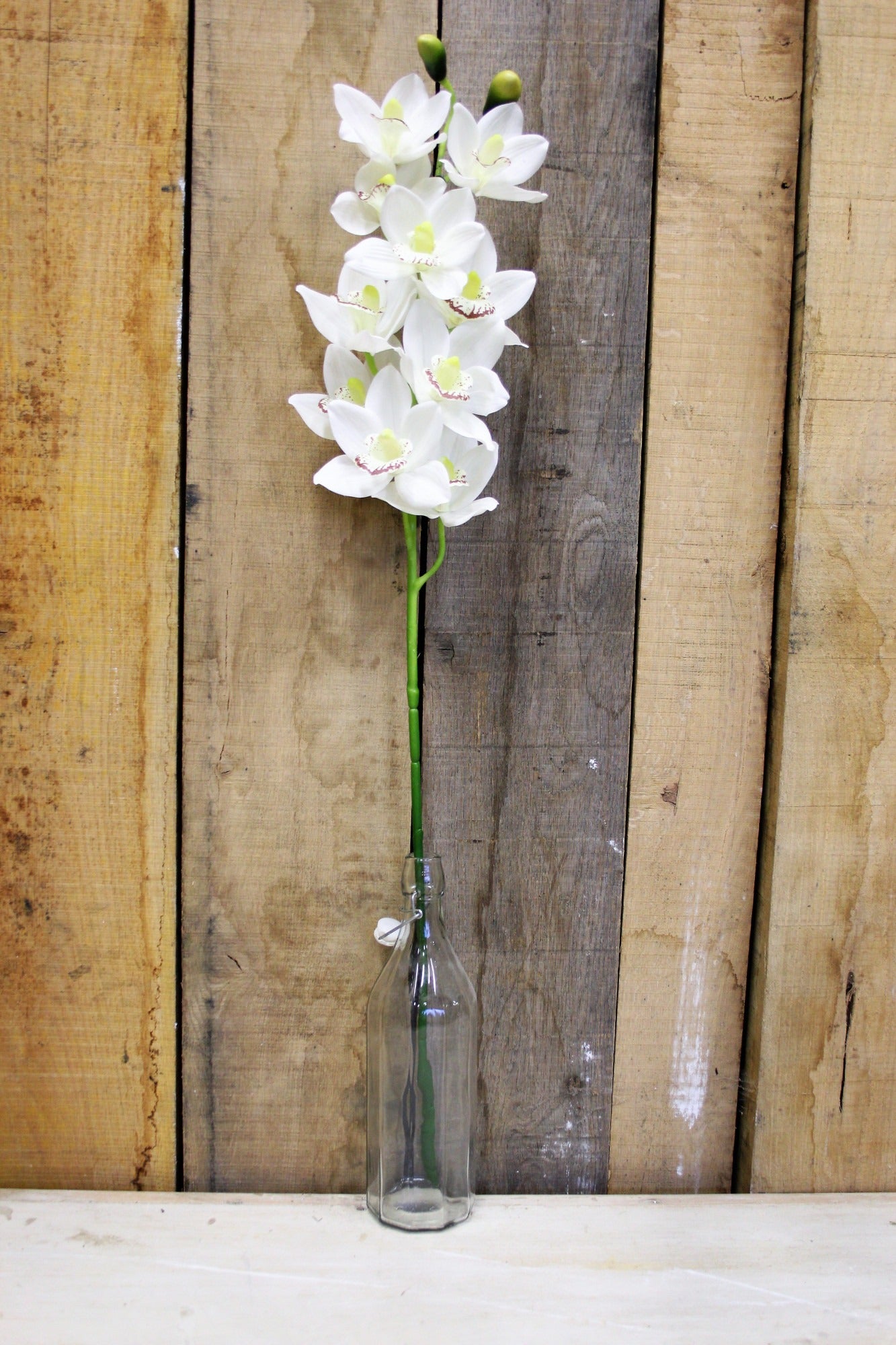 White Phalaenopsis Spray 45 inch