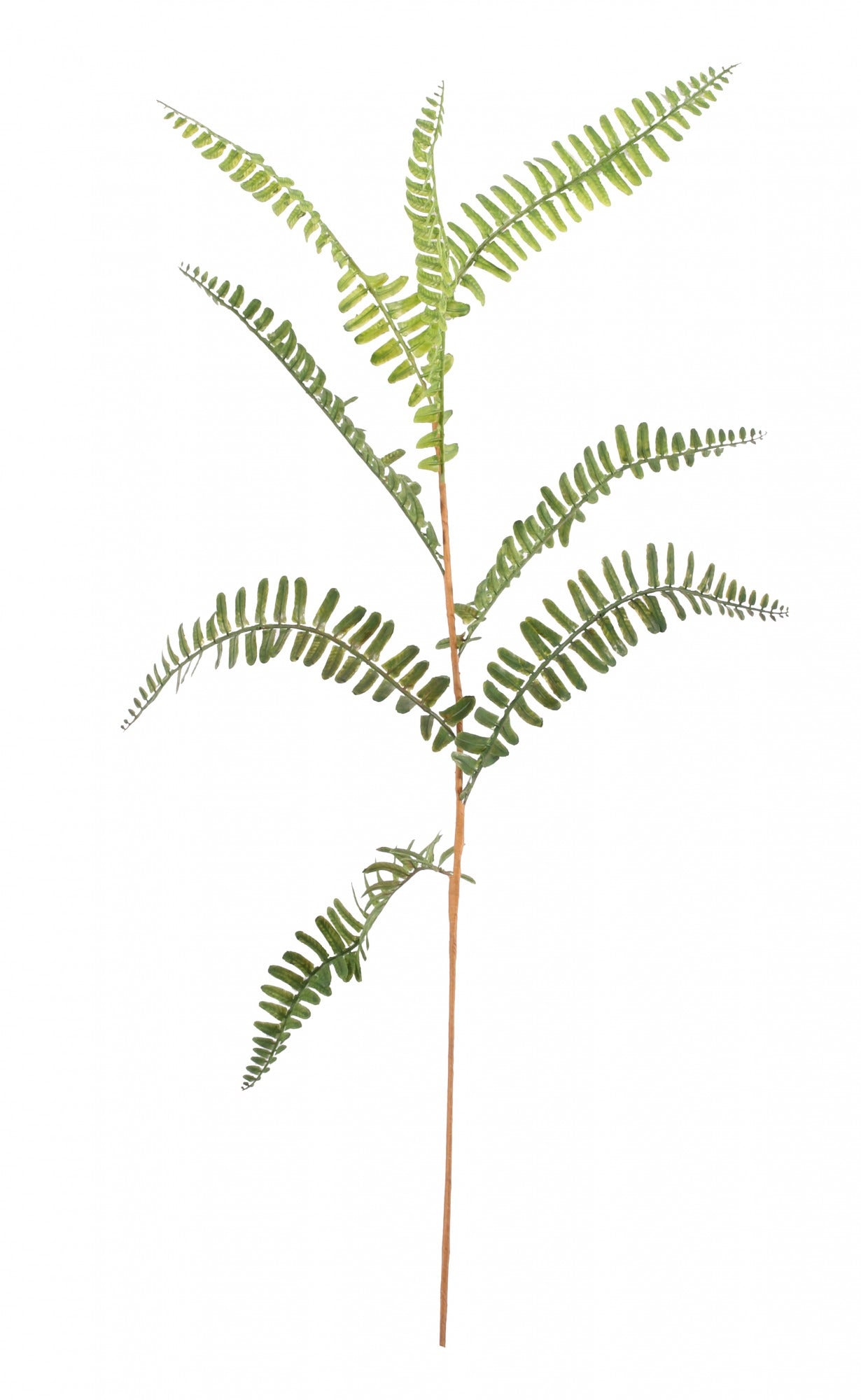 Mini Fern Spray 70cm