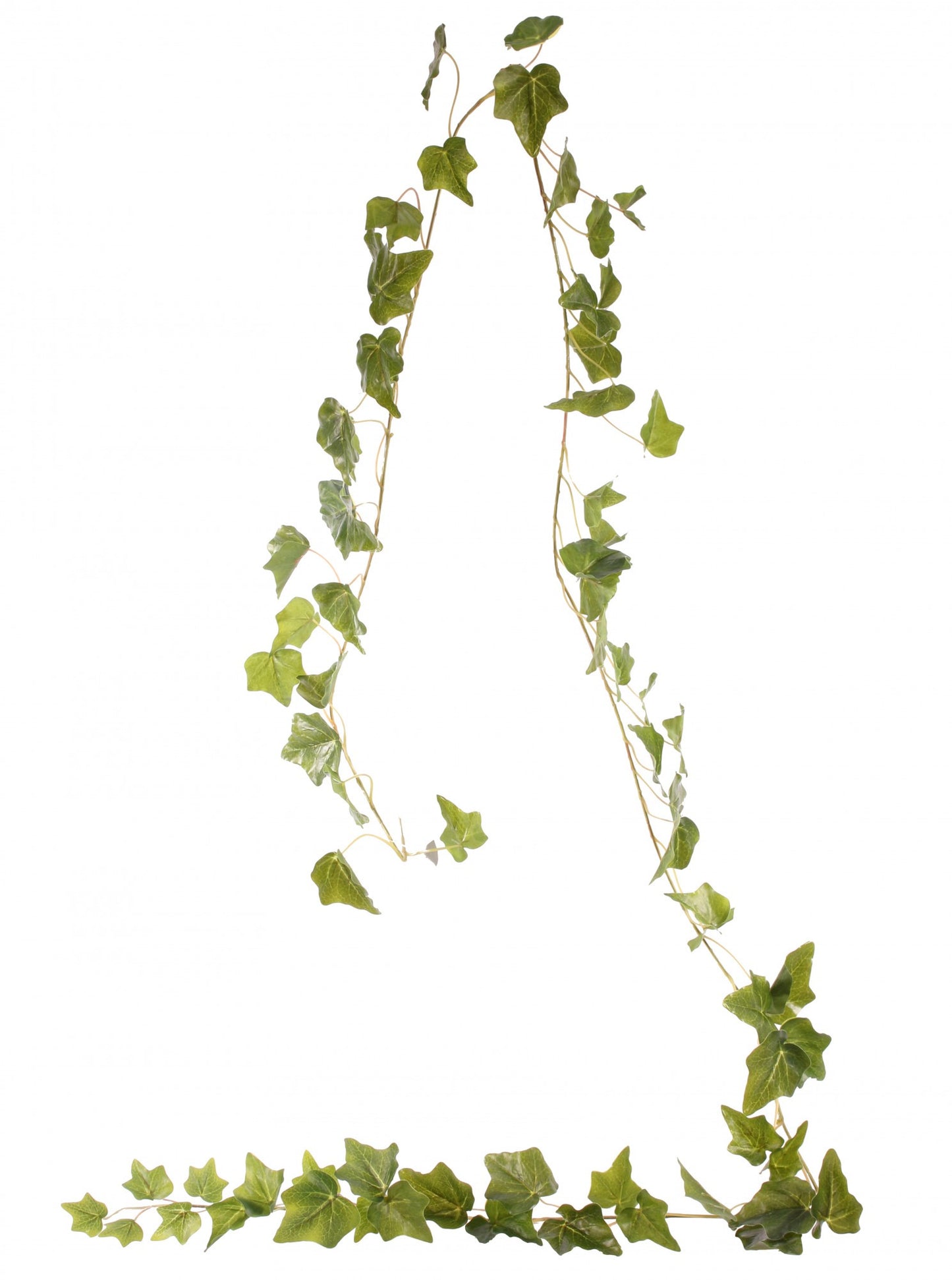 English Ivy Garland Green 1.8M