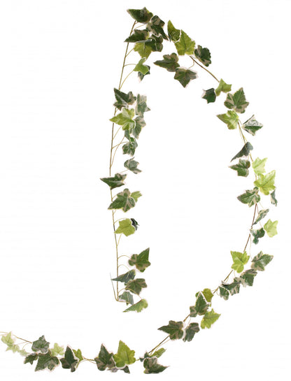 English Ivy Garland Green Variegated 1.8M