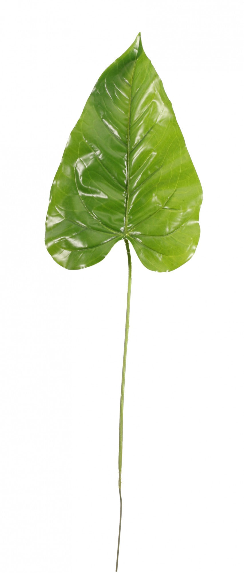 Real Touch Tropical Leaf 68cm