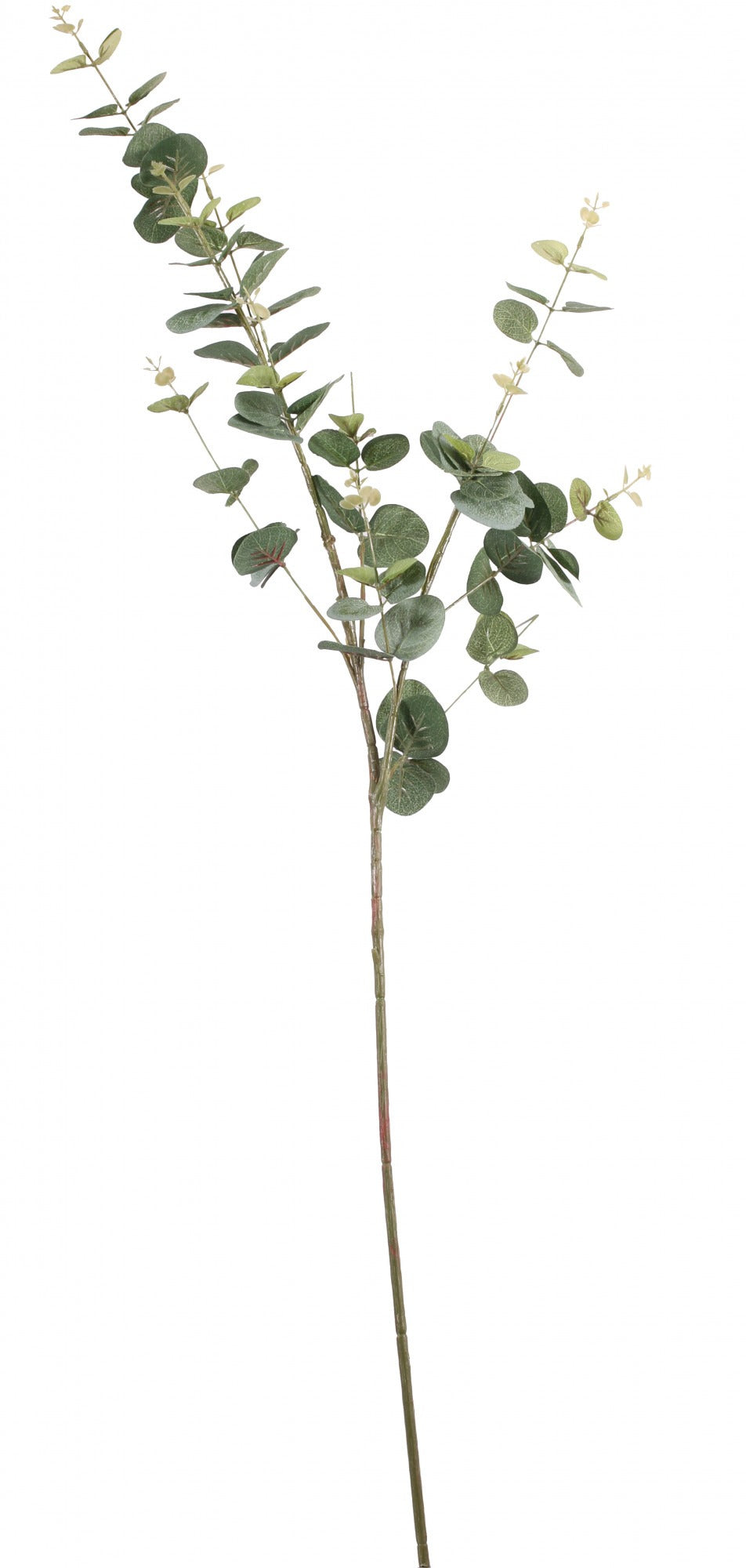 Pale Green Eucalyptus Spray 92cm