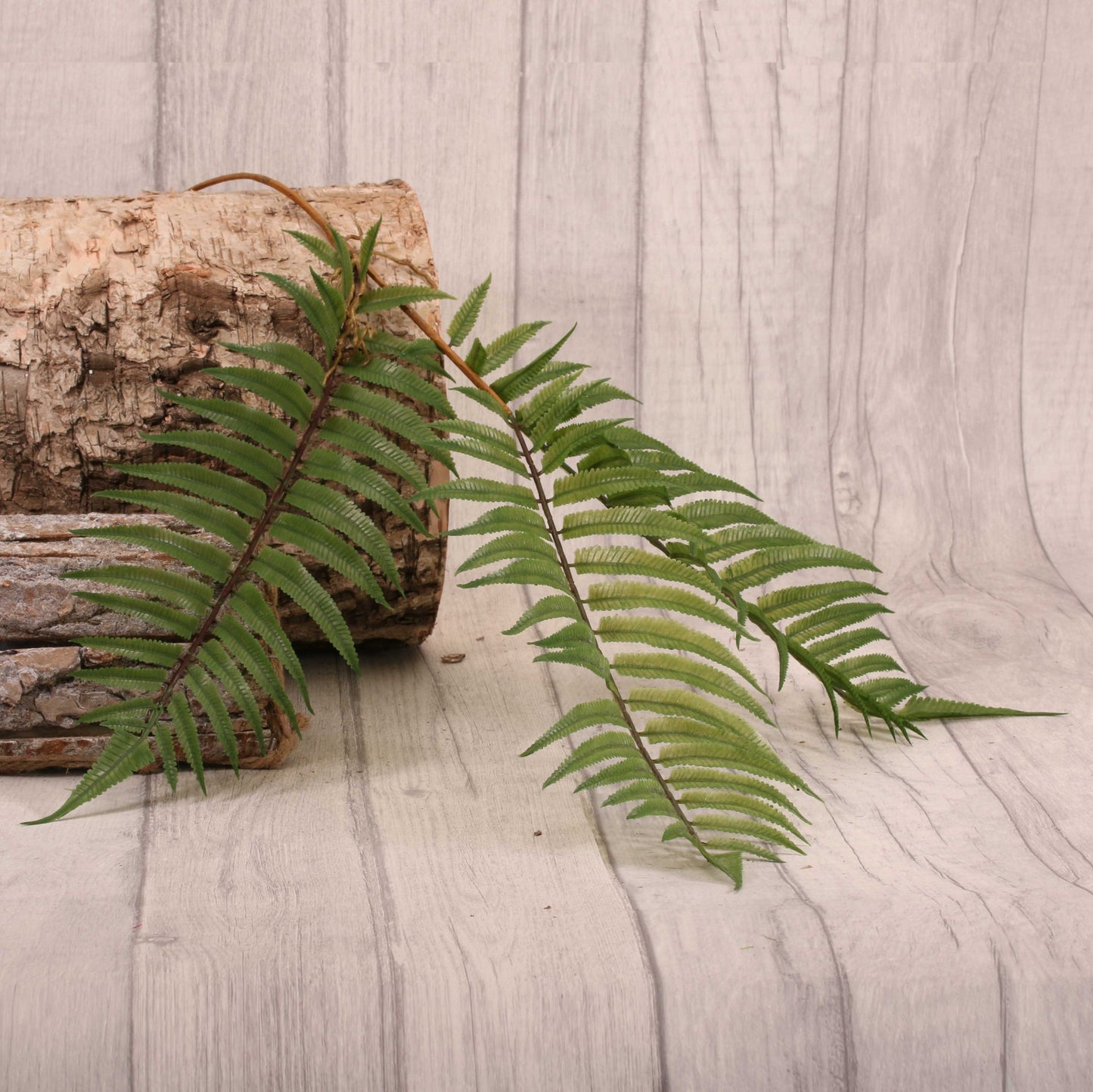 Boston Fern Spray 75cm