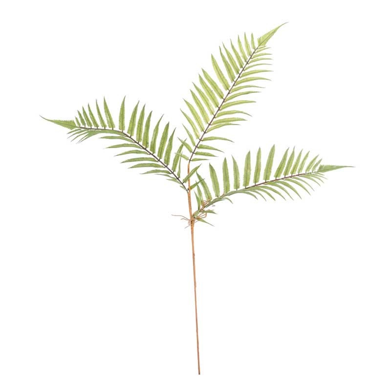 Boston Fern Spray 75cm