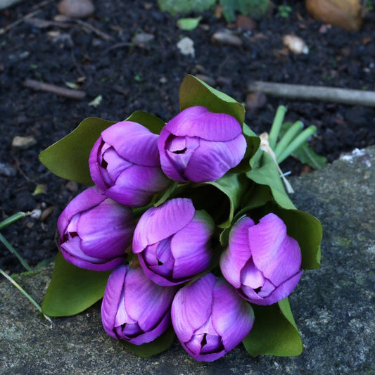 Tulip Bunch Purple